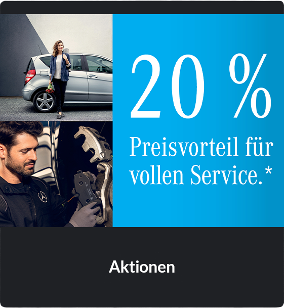 Iglhaut-Leistungen und Aktionen