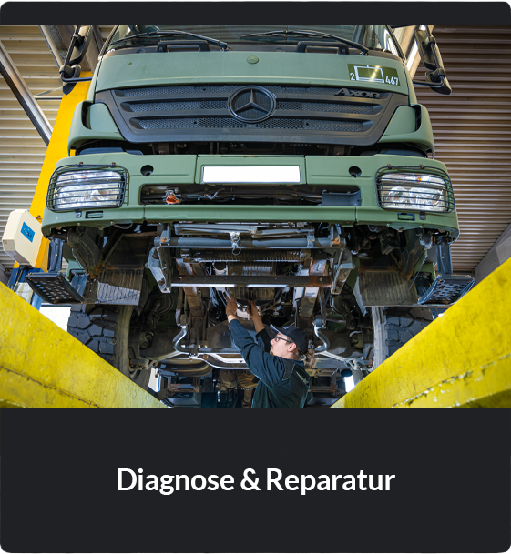 Diagnose-und-Reparatur
