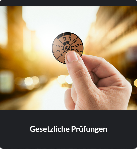 Gesetzliche-Prüfungen